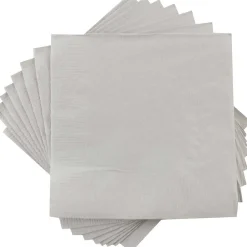 JAM Paper Lunch Napkin, 2-ply, Silver, 50 Napkins/Pack (255628827)