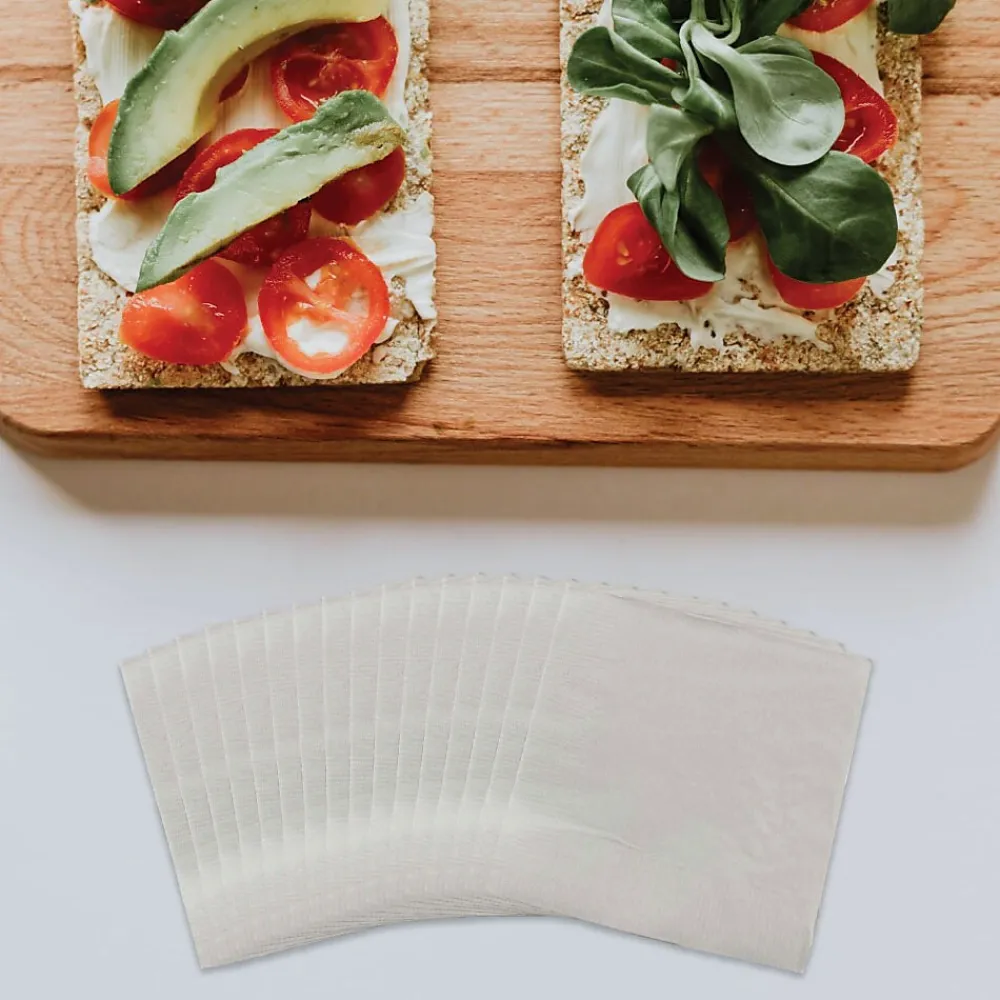 JAM Paper Lunch Napkin, 2-ply, Silver, 50 Napkins/Pack (255628827)