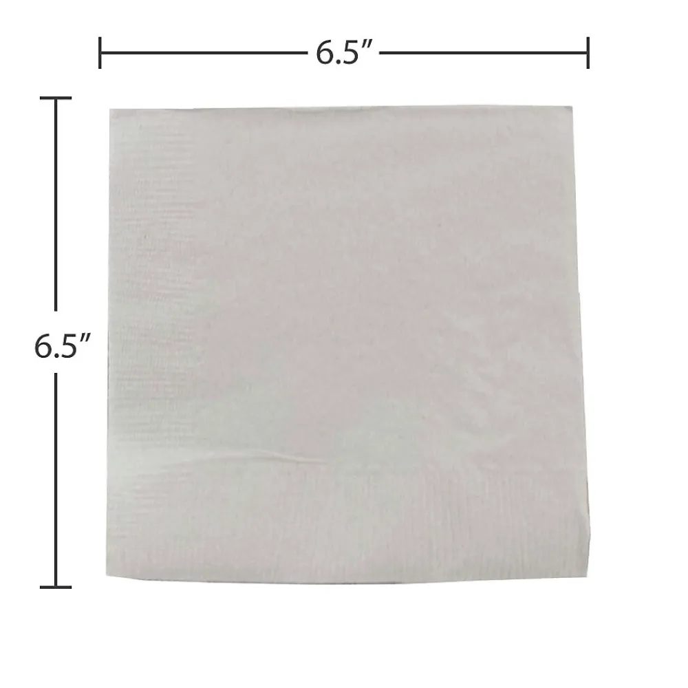 JAM Paper Lunch Napkin, 2-ply, Silver, 50 Napkins/Pack (255628827)