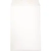 Clearance JAM Paper Open End Catalog Envelope, 6" x 9", White, 50/Pack (1623192I)