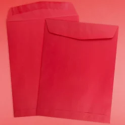 Hot JAM Paper Open End Catalog Envelope, 9