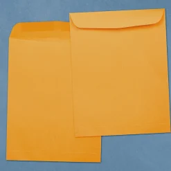 Best JAM Paper Open End Kraft Catalog Envelopes, 12
