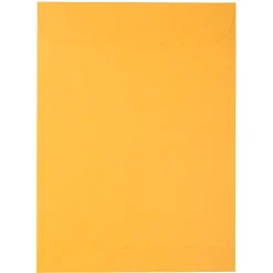 Hot JAM Paper Peel & Seal Kraft Open End Catalog Envelope, 9