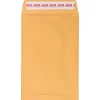 Clearance JAM Paper Peel and Seal Kraft Open End Catalog Envelope, 6" x 9", Brown, 500/Pack (13034199C)