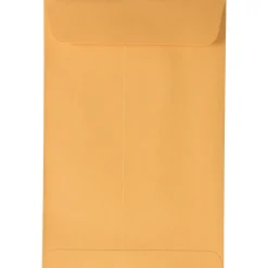 Clearance JAM Paper Peel and Seal Kraft Open End Catalog Envelope, 6