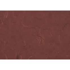 Portfolio Case with Drawstring Closure, Rainforest Burgundy (371679)<JAM Paper New