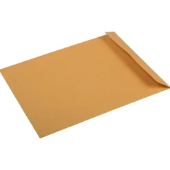 Discount JAM Paper Premium Kraft Catalog Envelope, 10