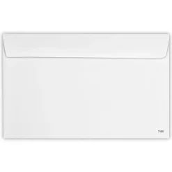 Best JAM Paper Security Tinted Booklet Envelope 5 3/4