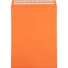 Clearance JAM Paper Self Seal Catalog Envelope, 9" x 12", Orange, 100/Pack (185747509D)