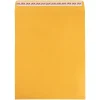 JAM Paper Self Seal Catalog Envelope, 11 1/2" x 14 1/2", Brown Kraft Manila, 100/Pack (13034235D)