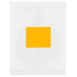 New JAM Paper Shipping Labels, Large, 3 1/3 x 4, , 6 Labels/Sheet, 20 Sheets/Pack (354328043) Neon Orange