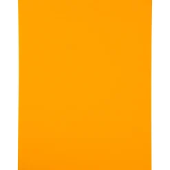 Sale JAM Paper Shipping Labels, 8 1/2