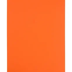 Outlet JAM Paper Shipping Labels, 8-1/2