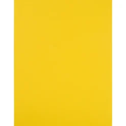 JAM Paper Shipping Labels, 8 1/2