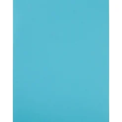 Outlet JAM Paper Shipping Labels, 8 1/2