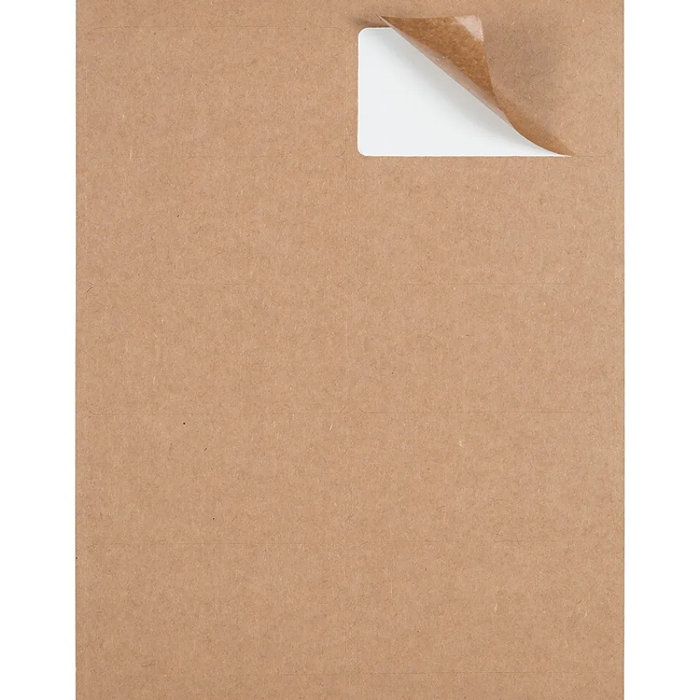 Discount JAM Paper Shipping Labels, 2" x 4", , 10 Labels/Sheet, 12 Sheets/Pack (4513703) Brown Kraft