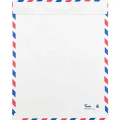 Discount JAM Paper Tear-Proof Tyvek Open End Catalog Envelopes, 9" x 12", White Airmail, 50/Pack (2131102C)