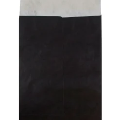 Outlet JAM Paper Tear-Proof Tyvek Open End Catalog Envelopes, 11.5" x 14.5", Black, 25/Pack (V021386)