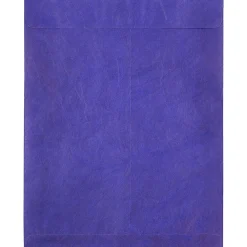 JAM Paper Tyvek Open End Open End #13 Catalog Envelope, 10" x 13", Blue, 10/Pack (V021377B)