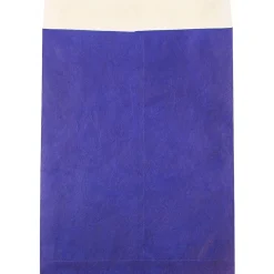 JAM Paper Tyvek Open End Open End #13 Catalog Envelope, 10" x 13", Blue, 10/Pack (V021377B)