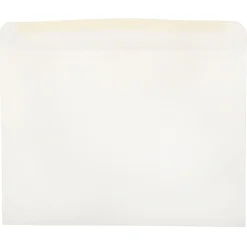 New JAM Paper Window Envelope, 9" x 12", White, 25/Pack (223932)