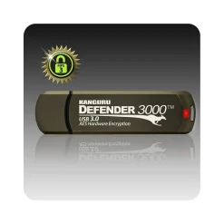 Clearance Kanguru Defender 3000 512GB USB 3.2 Flash Drive, Gold (KDF3000-512G)