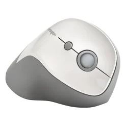 Best Kensington Pro Fit K75520WW Wireless Optical Mouse, Gray