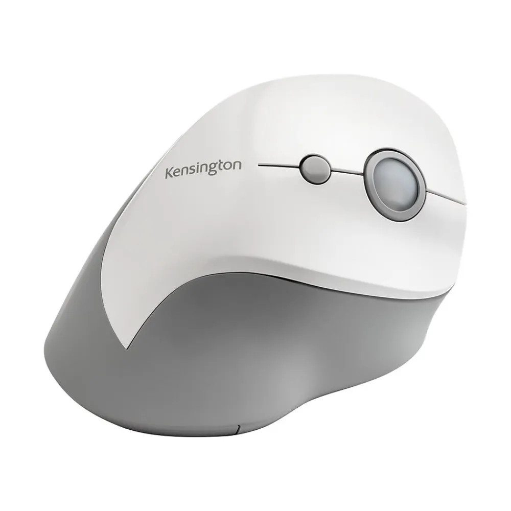 Best Kensington Pro Fit K75520WW Wireless Optical Mouse, Gray