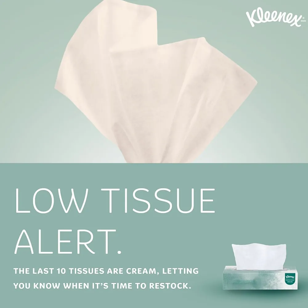 Professional Naturals Standard Facial Tissue, 2-Ply, White, 125 Sheets/Box, 48 Boxes/Case (21601)<Kleenex