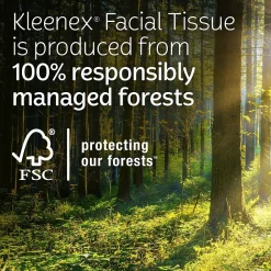 Standard Facial Tissue, 2-Ply, 160 Sheets/Box, 3 Boxes/Pack (54303)<Kleenex Outlet