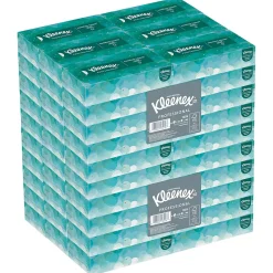 Standard Facial Tissues, 2-Ply, 100 Sheets/Box, 10 Boxes/Pack (13216)<Kleenex Hot