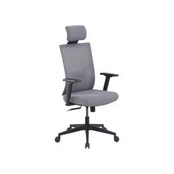 Office Chairs*La-Z-Boy Mesh Back Molded Foam Computer and Desk Chair, Gray (51448) Gray/White