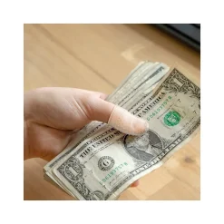 New Lee Medium Fingertip, Clear, 12/Pack (41050)