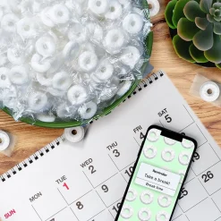 LifeSavers Wint O Green Mints, 44.93 oz. (220-00017)