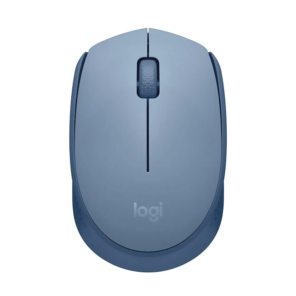 New Logitech M170 Wireless Ambidextrous Optical Mouse, Blue/Gray (910-006863)