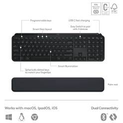 Outlet Logitech MX Keys S Wireless Ergonomic Keyboard and Optical Mouse Combo, Black (920-012274)