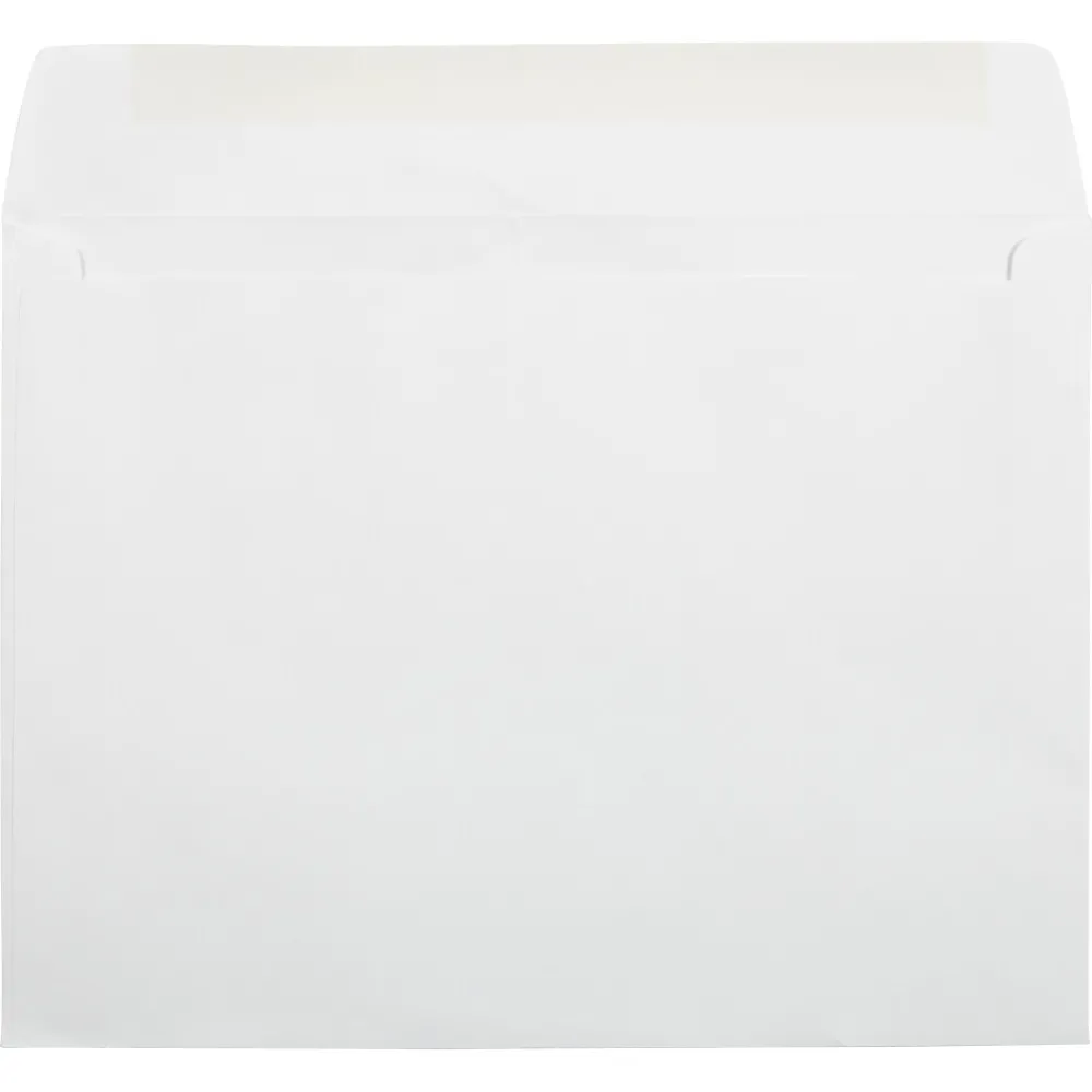 Hot LUX 8 3/4 x 11 1/2 Booklet Window Envelopes 50/Pack, 28lb. White (811BW-28W-50)