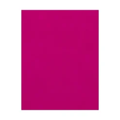 Card Stock*LUX 100 lb. Cardstock Paper, 12" x 18", Magenta Pink, 500 Sheets/Pack (1218-C-10-500)