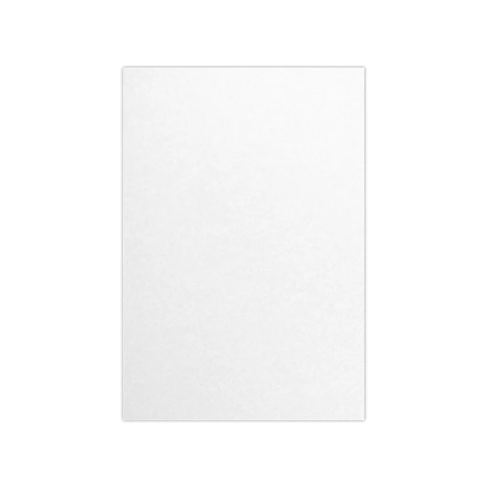 Card Stock*LUX 105 lb. Cardstock Paper, 13" x 19", Crystal, 250 Sheets/Pack (1319-C-M30-250)