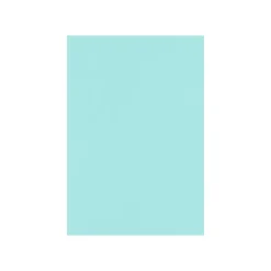 Card Stock*LUX 100 lb. Cardstock Paper, 13" x 19", Sea, 250 Sheets/Pack (1319-C-113-250)