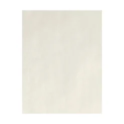 Card Stock*LUX 80 lb. Cardstock Paper, 8.5" x 11", Natural, 250 Sheets/Pack (81211-C-58-250)