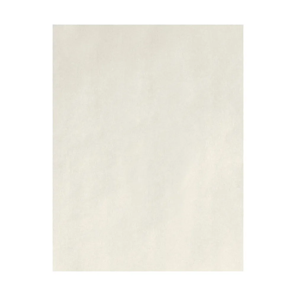 Card Stock*LUX 80 lb. Cardstock Paper, 8.5" x 11", Natural, 250 Sheets/Pack (81211-C-99-250)