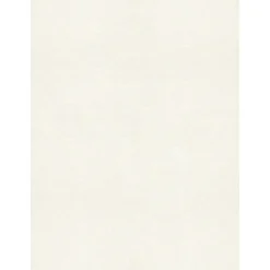 Card Stock*LUX 105 lb. Cardstock Paper, 8.5" x 11", Quartz Metallic, 250 Sheets/Pack (81211-C-72-250)