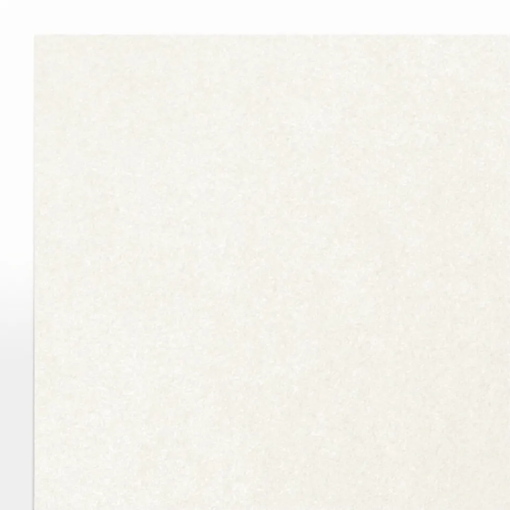 Card Stock*LUX 105 lb. Cardstock Paper, 8.5" x 11", Quartz Metallic, 250 Sheets/Pack (81211-C-72-250)