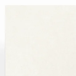 Card Stock*LUX 105 lb. Cardstock Paper, 8.5