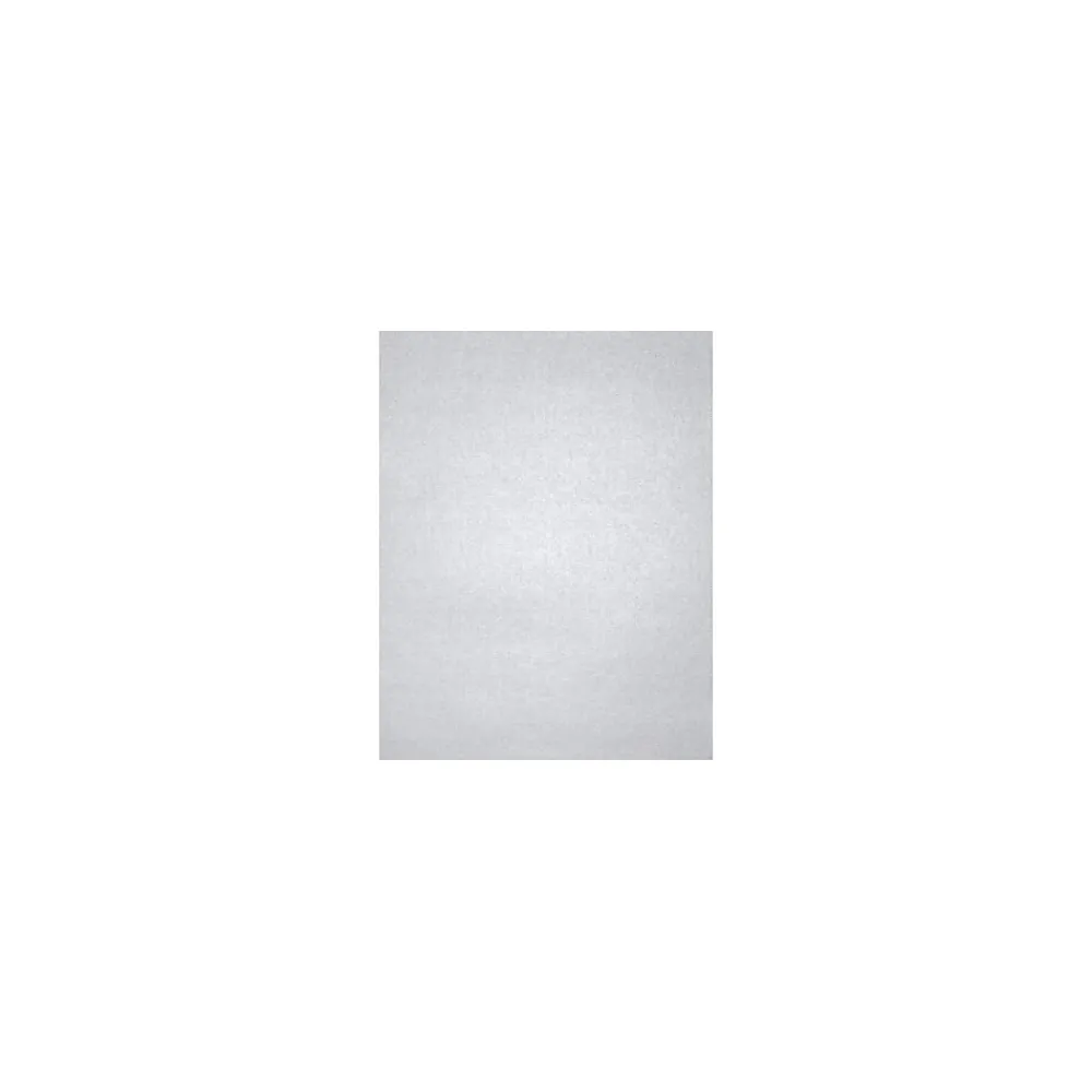 Card Stock*LUX 105 lb. Cardstock Paper, 11" x 17", Silver Metallic, 1000 Sheets/Pack (1117-C-M06-1M)