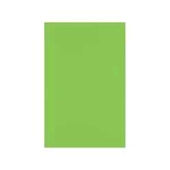 Card Stock*LUX 100 lb. Cardstock Paper, 11" x 17", Limelight, 500 Sheets/Pack (1117-C-101-500)