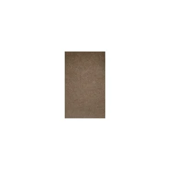 Card Stock*LUX 105 lb. Cardstock Paper, 8.5" x 14", Bronze Metallic, 500 Sheets/Pack (81214-C-M22-500)