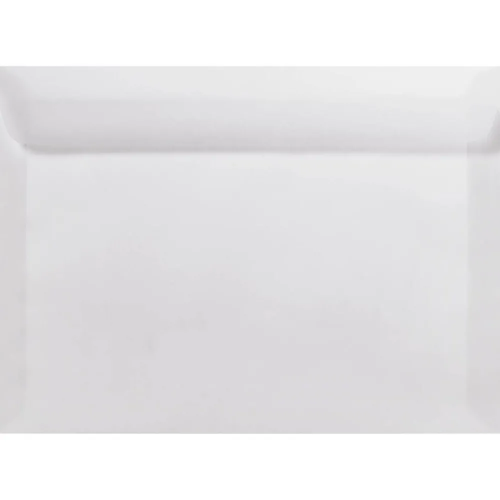 Clearance LUX 6 x 9 Booklet Envelopes 50/Pack, Clear Translucent (E4820-00-50)