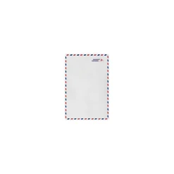 Outlet LUX 9 x 12 Open End Envelopes (9 x 12) - Airmail - Pack of 50 (2444749)